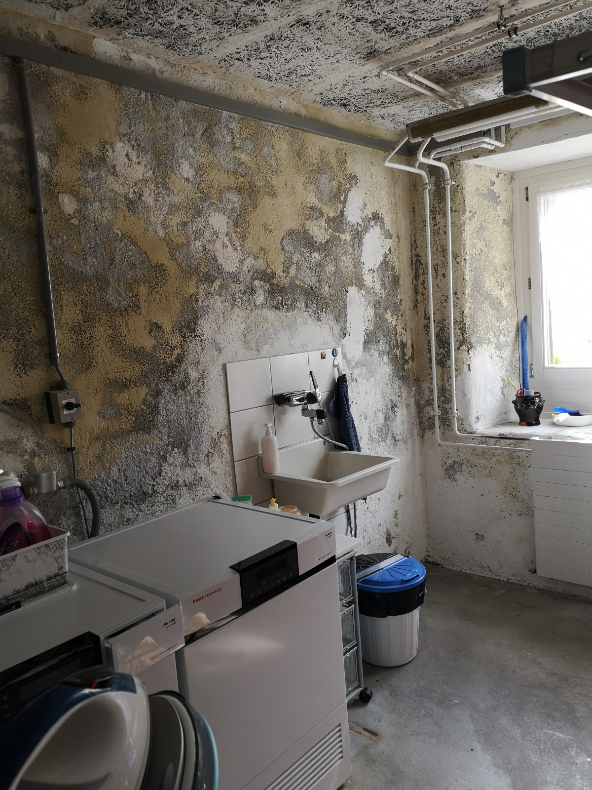 Fachkraft inspiziert feuchte Wand mit Messgerät – schnelle Hilfe bei Schimmel