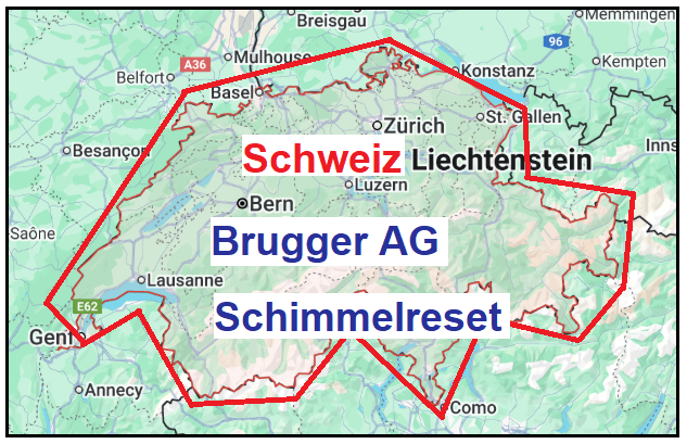 Brugger AG Mauer-Sanierung, Spezialist für Mauerentfeuchtung