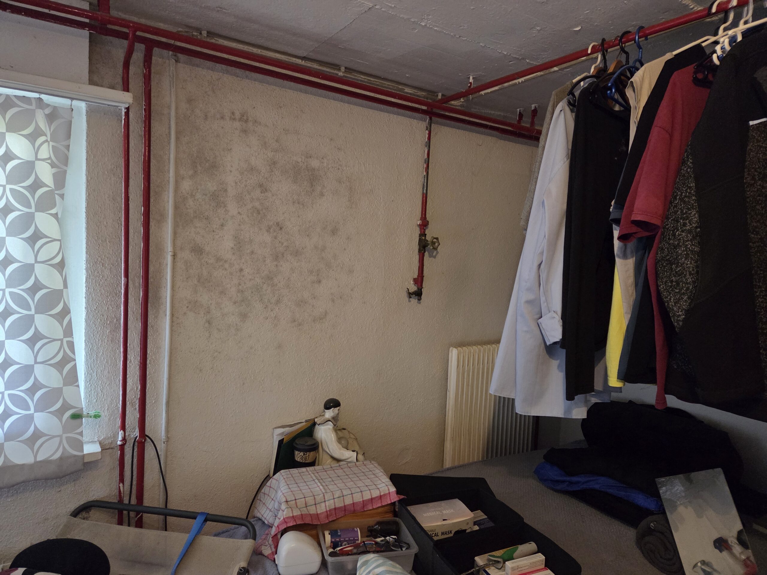 Schimmel in der Wohnung