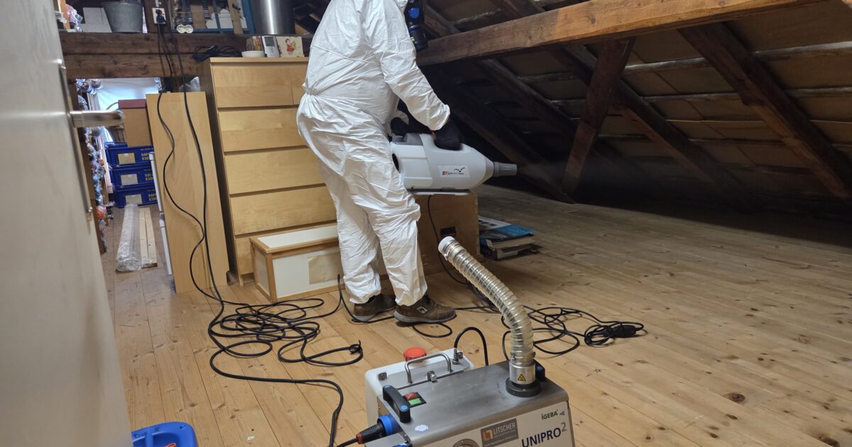 Schimmel Gutachter Schweiz