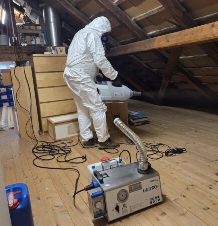 Schimmel Gutachter Schweiz