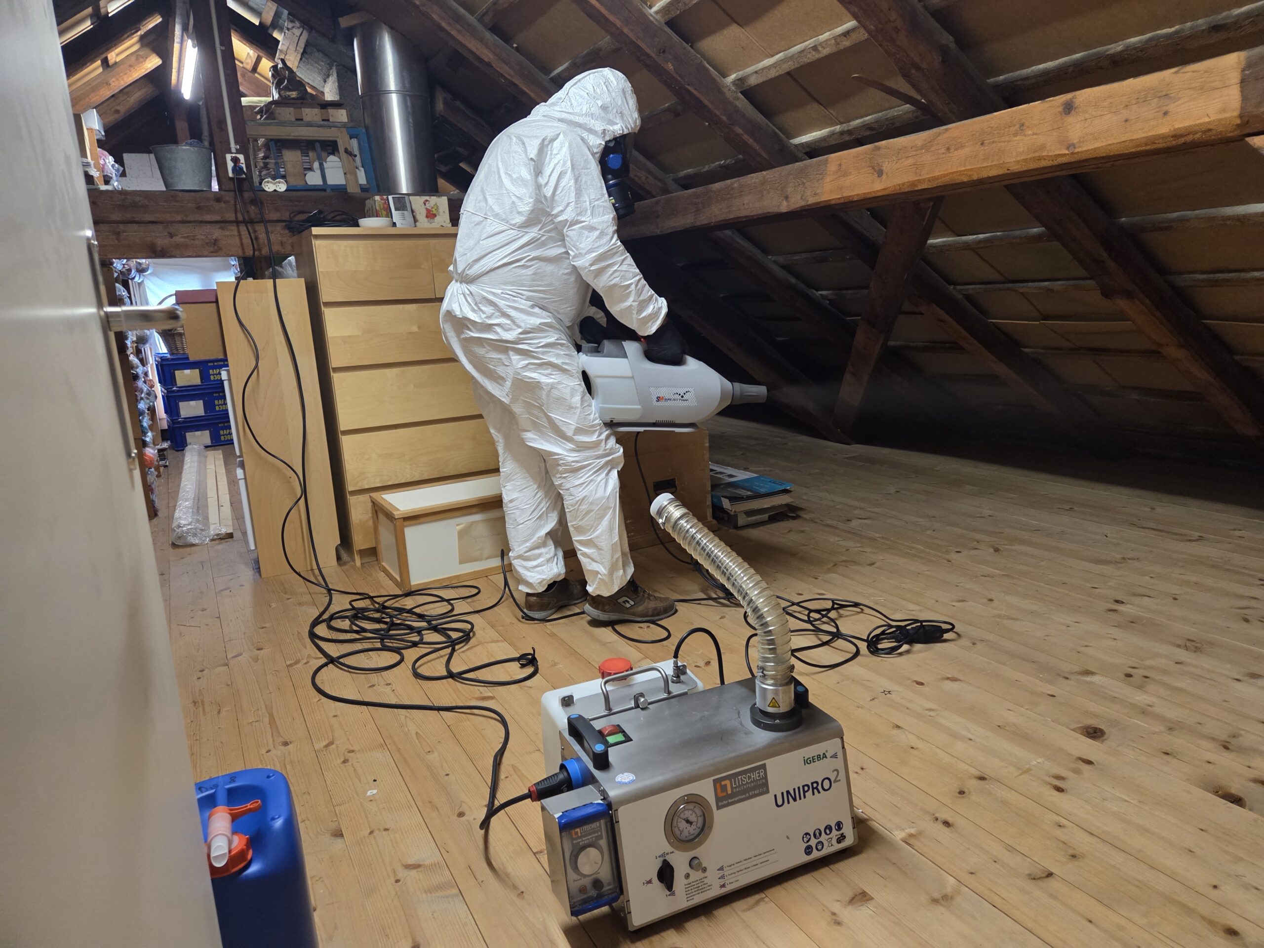 Schimmel Gutachter Schweiz