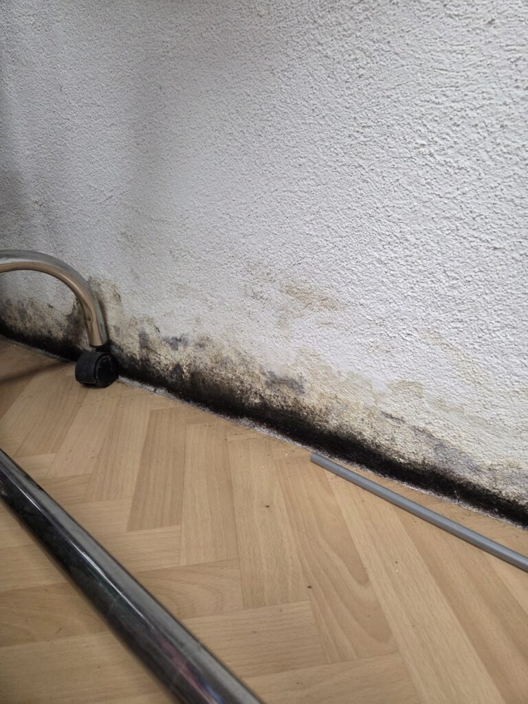 Schimmel zwischen Boden und Wand