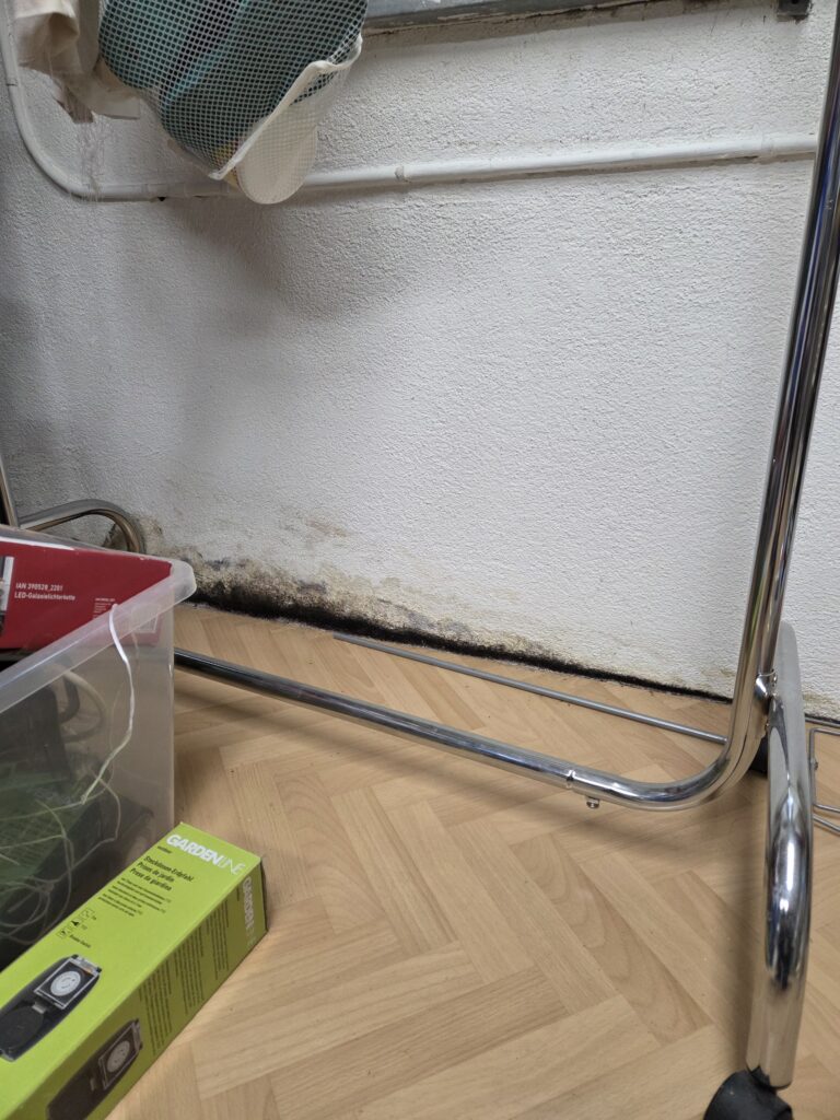 Schwarzer Schimmel zwischen Boden und Wand