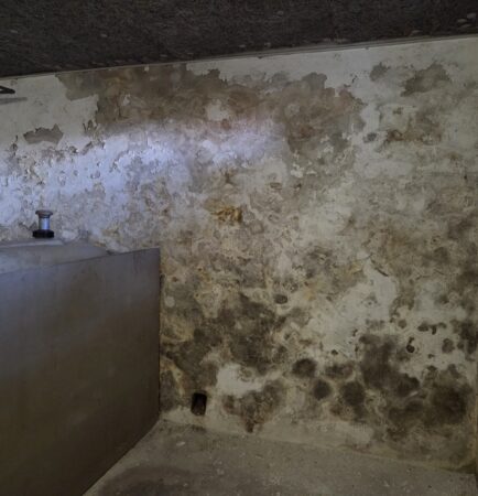 Professionelle Wanddiagnose – sinnvoll & sicher