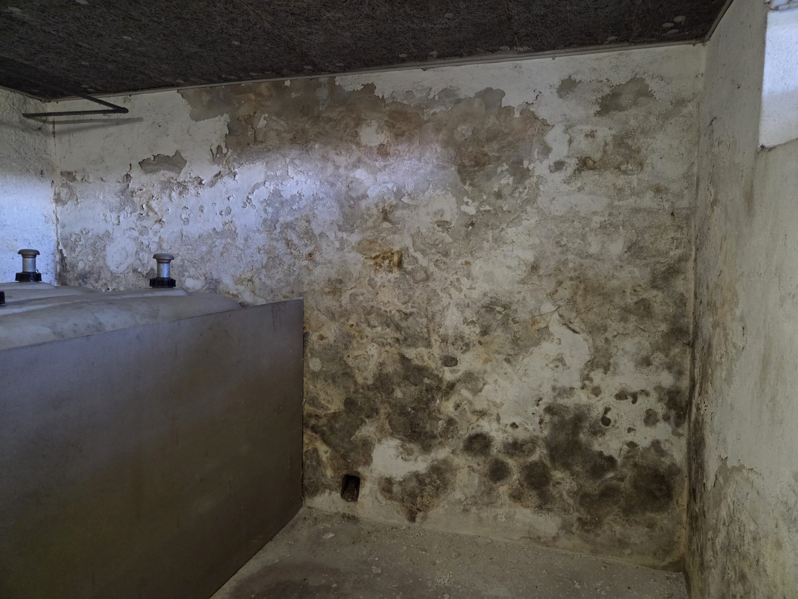 Professionelle Wanddiagnose – sinnvoll & sicher