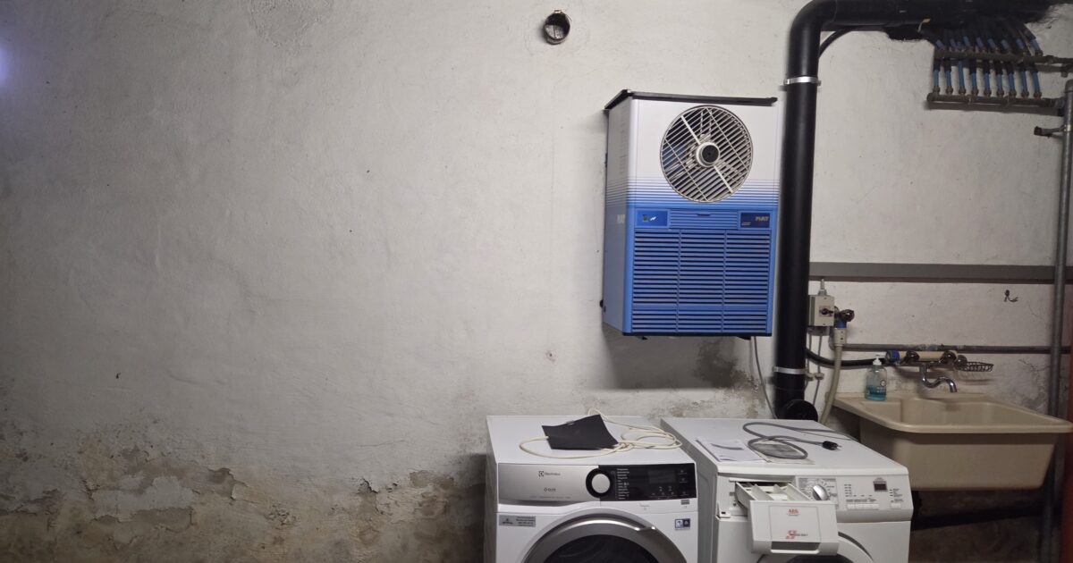 Aufsteigende Feuchtigkeit