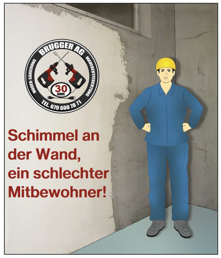 Brugger AG Mauer-Sanierung - Schimmel ein schlechter Mitbewohner