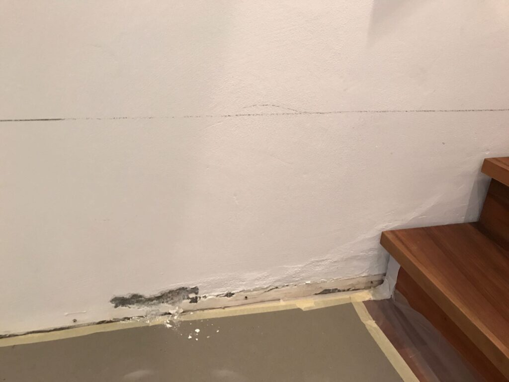 Feuchtigkeit ist nicht immer auf den ersten Blick sichtbar