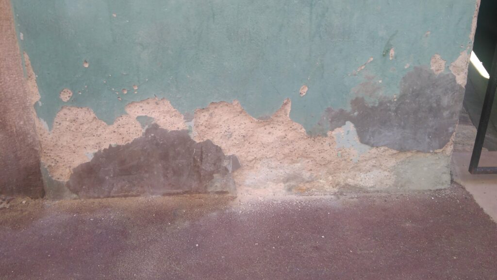 Die Folgen von aufsteigender Feuchtigkeit