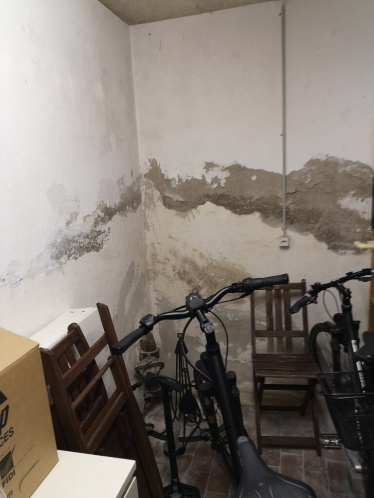 Professionelle Wanddiagnose