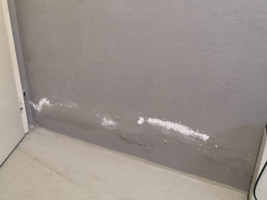 reagieren Sie schnell bei einer Nassen Wand oder Feuchtigkeit