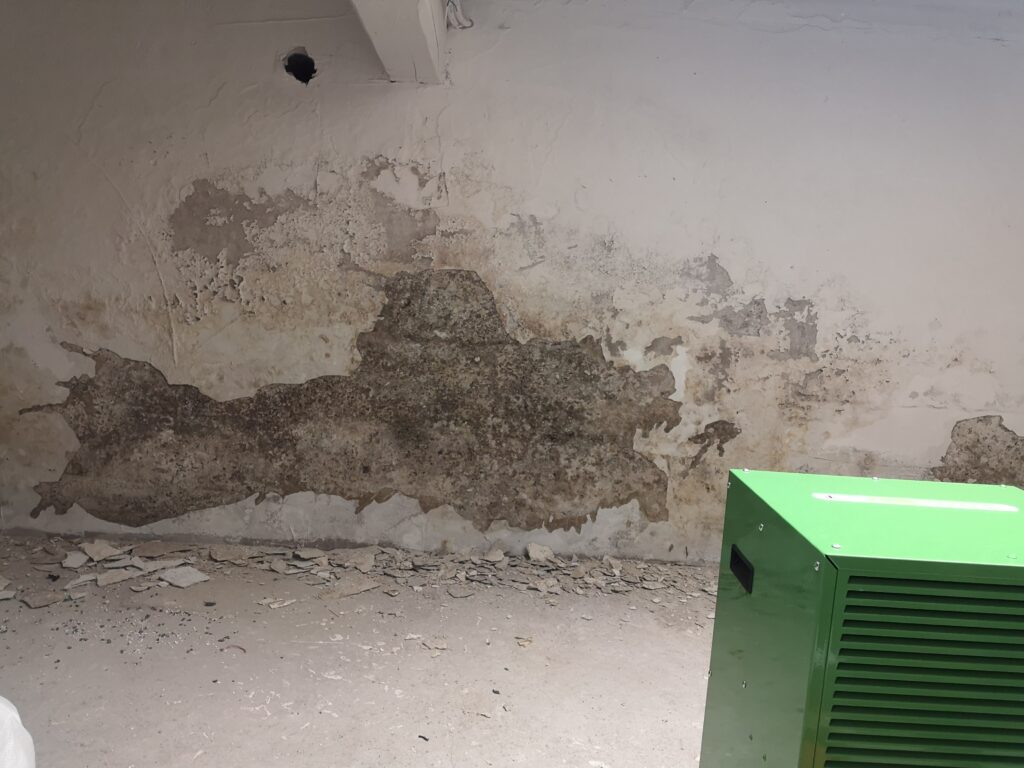 Nasse Wand ? Die Ursache sollte schnellstens gefunden werden.