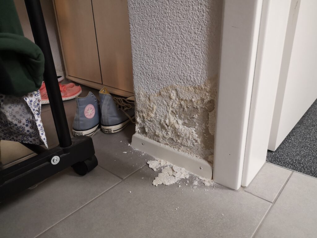 Eine professionelle Bauwerksdiagnose ist daher entscheidend