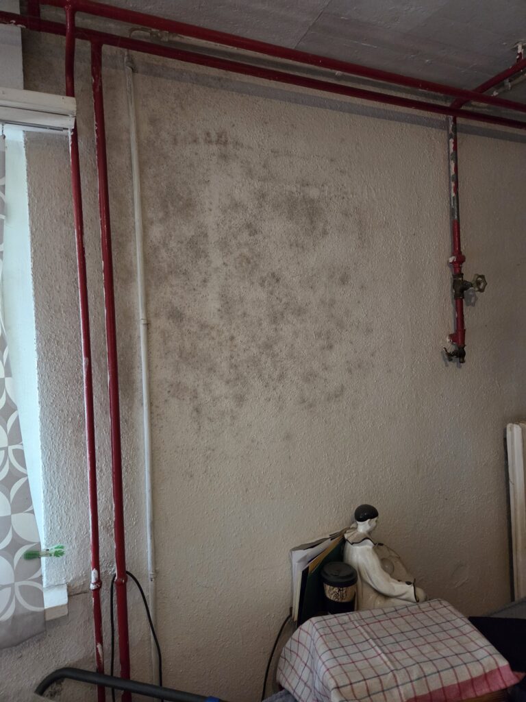Schimmel an der Wand