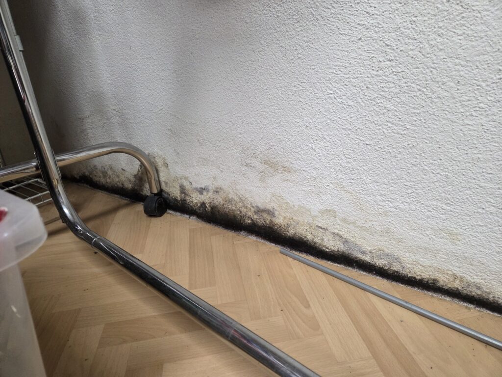 Schimmel am Übergang vom Boden zur Wand