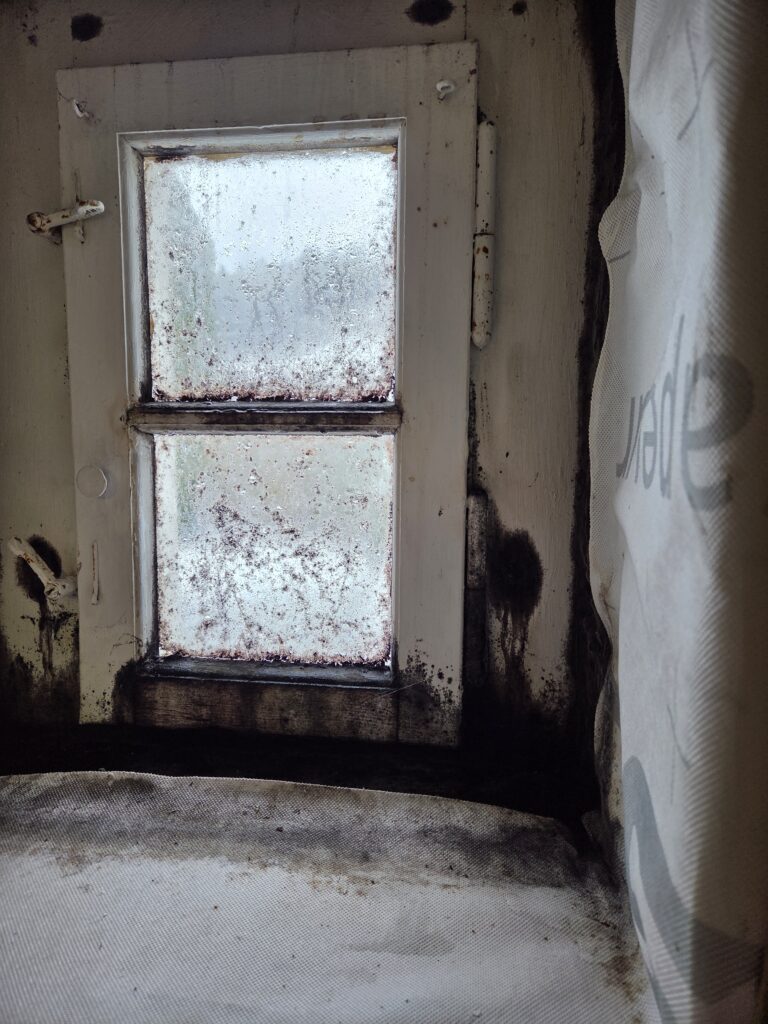 Schimmel im Dachgeschoss – Ursachen, Risiken und nachhaltige Lösungen