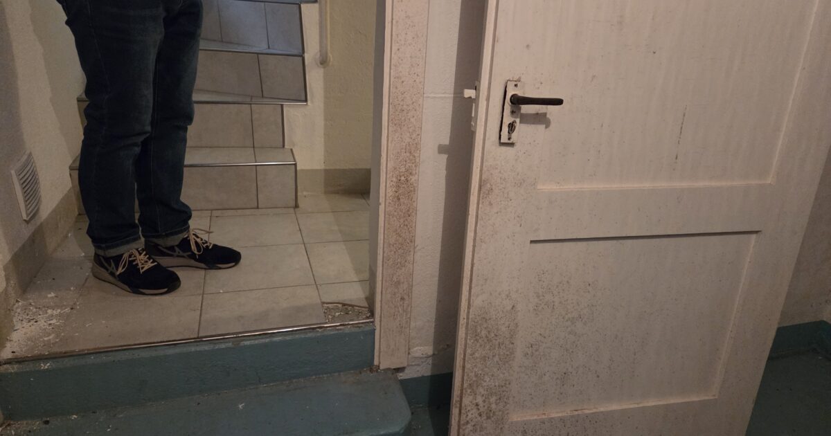 Schimmel Allergie: Symptome, Ursachen & Vorbeugung 2026