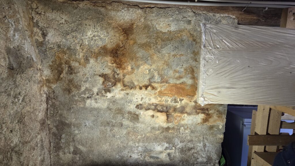 Salzausblühungen an der Wand mit Verfärbungen und Schimmelbelastung