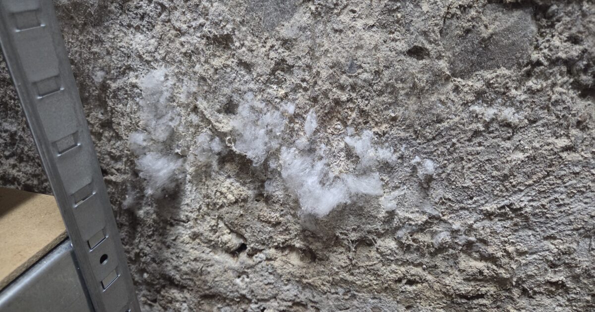 Salzausblühungen an der Wand – was tun dagegen?