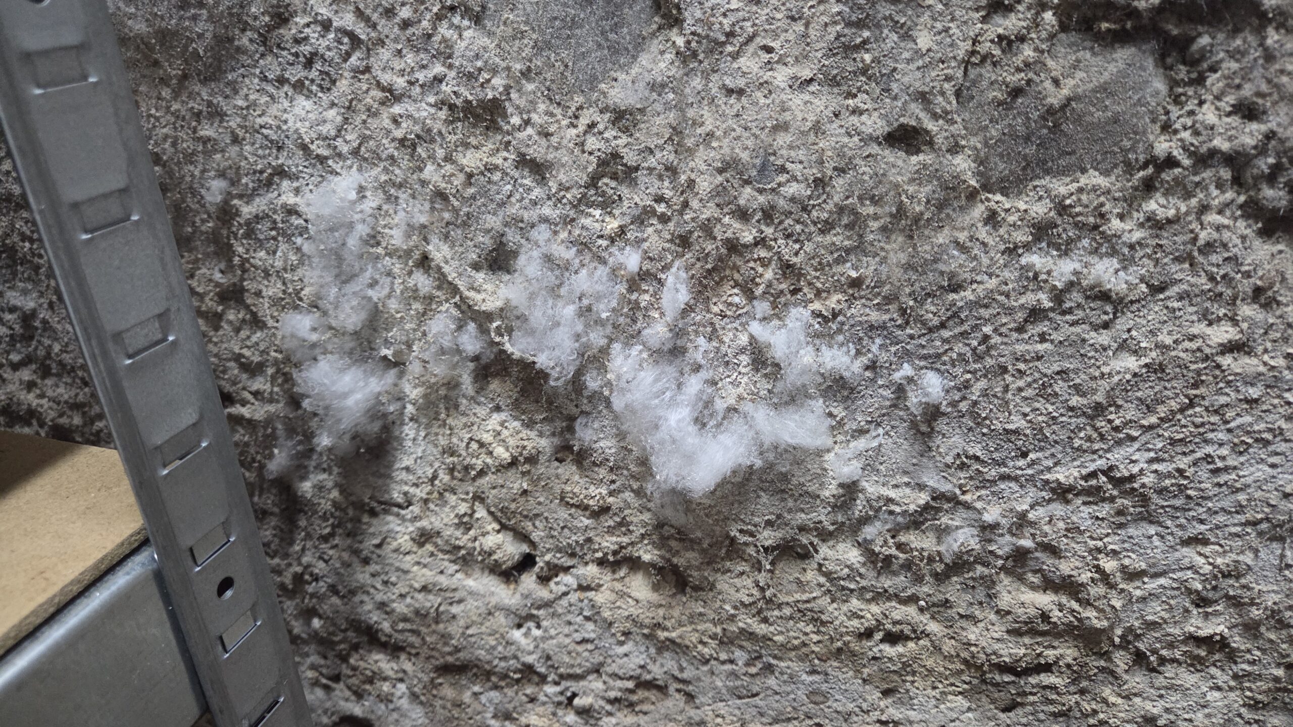Salzausblühungen an der Wand – was tun dagegen?