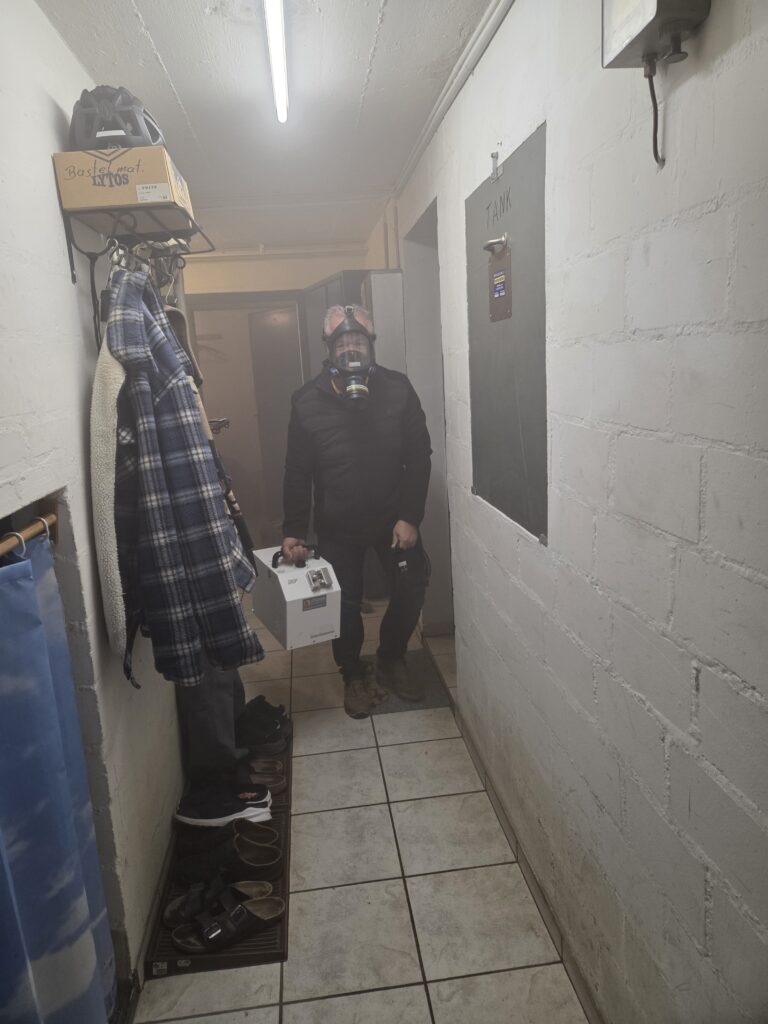 Schimmelreset – Soforthilfe bei Schimmelpilzbefall