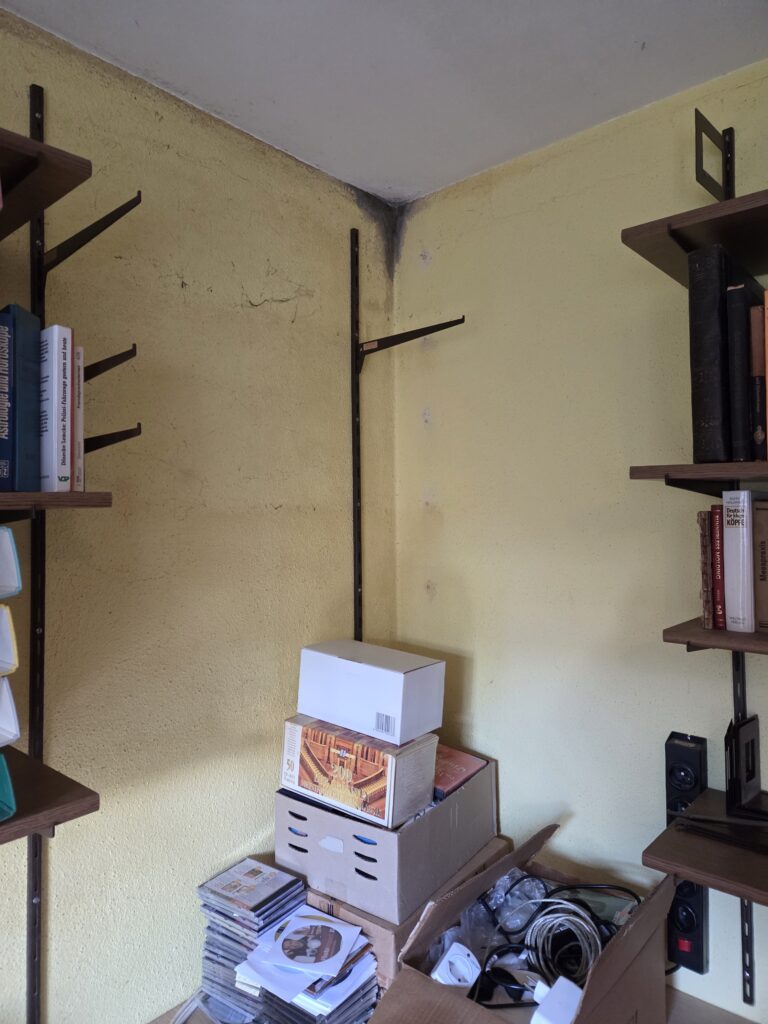 Professionelle Schimmelberatung für Wohnungen, Keller und Estriche