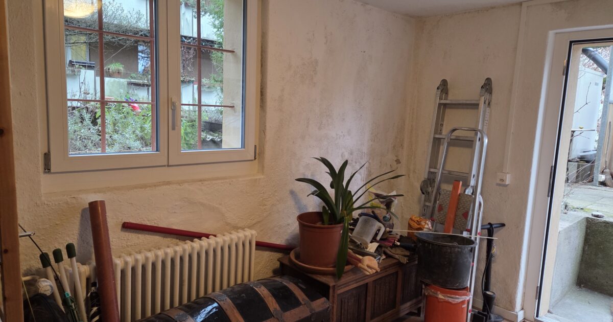 Bauberatung Schimmel – Nachhaltige Hilfe bei Schimmel und Feuchtigkeit im Haus