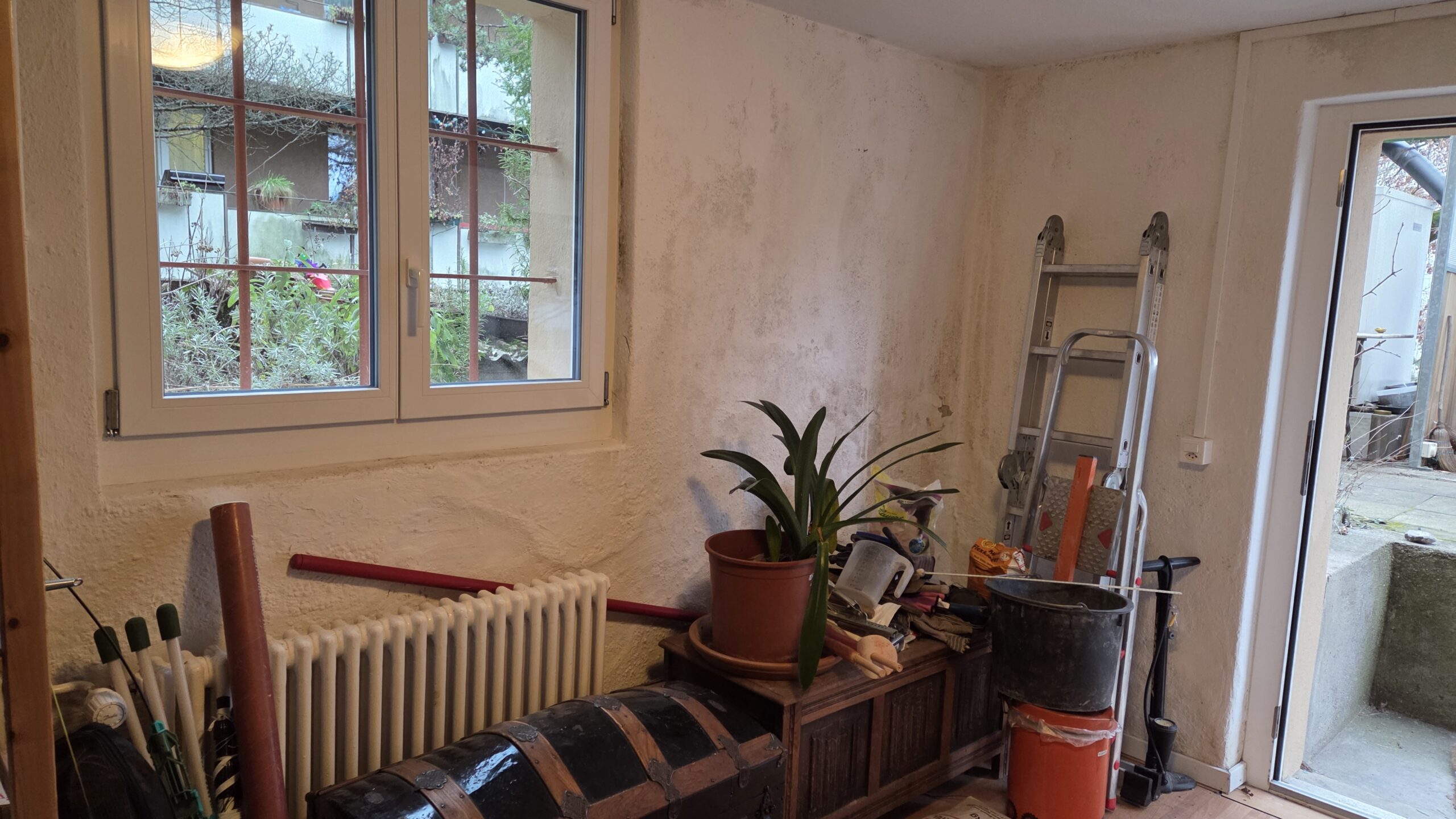 Bauberatung Schimmel – Nachhaltige Hilfe bei Schimmel und Feuchtigkeit im Haus