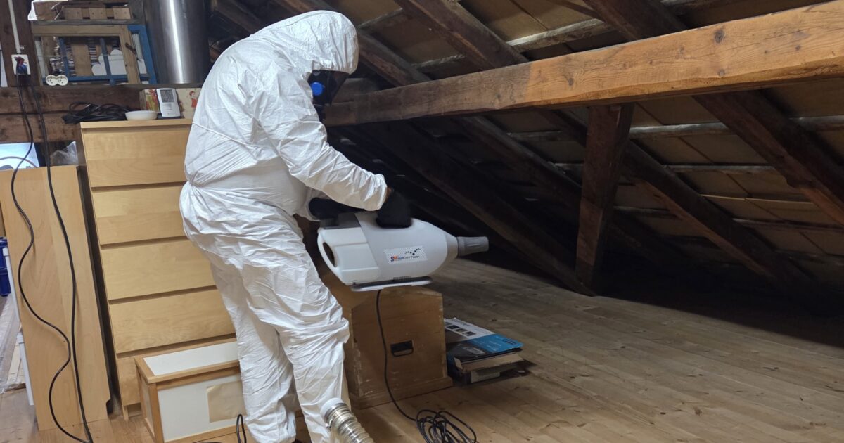 Schimmel im Dachgeschoss Nachhaltige Schimmelsporen-Eliminierung