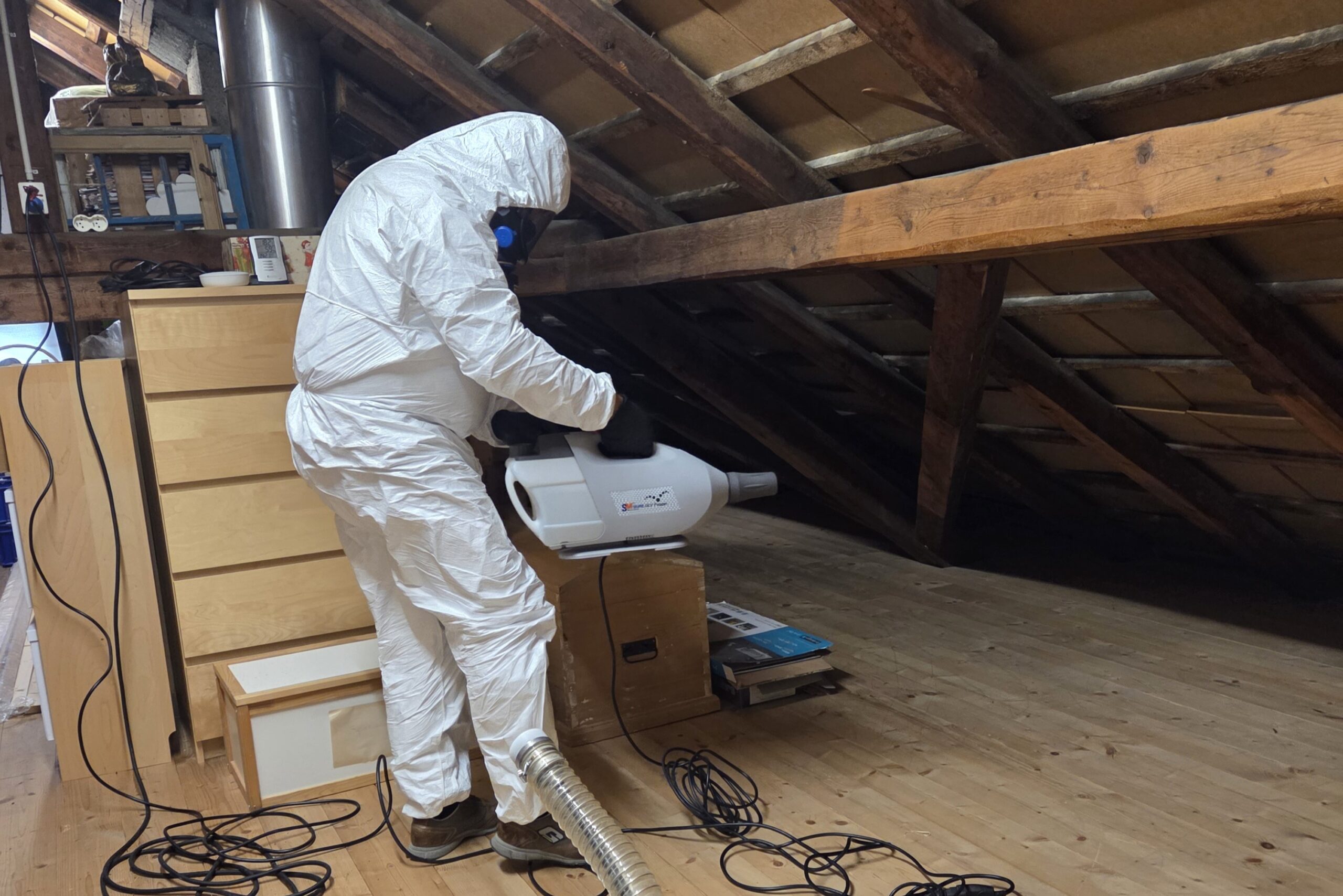 Schimmel im Dachgeschoss Nachhaltige Schimmelsporen-Eliminierung