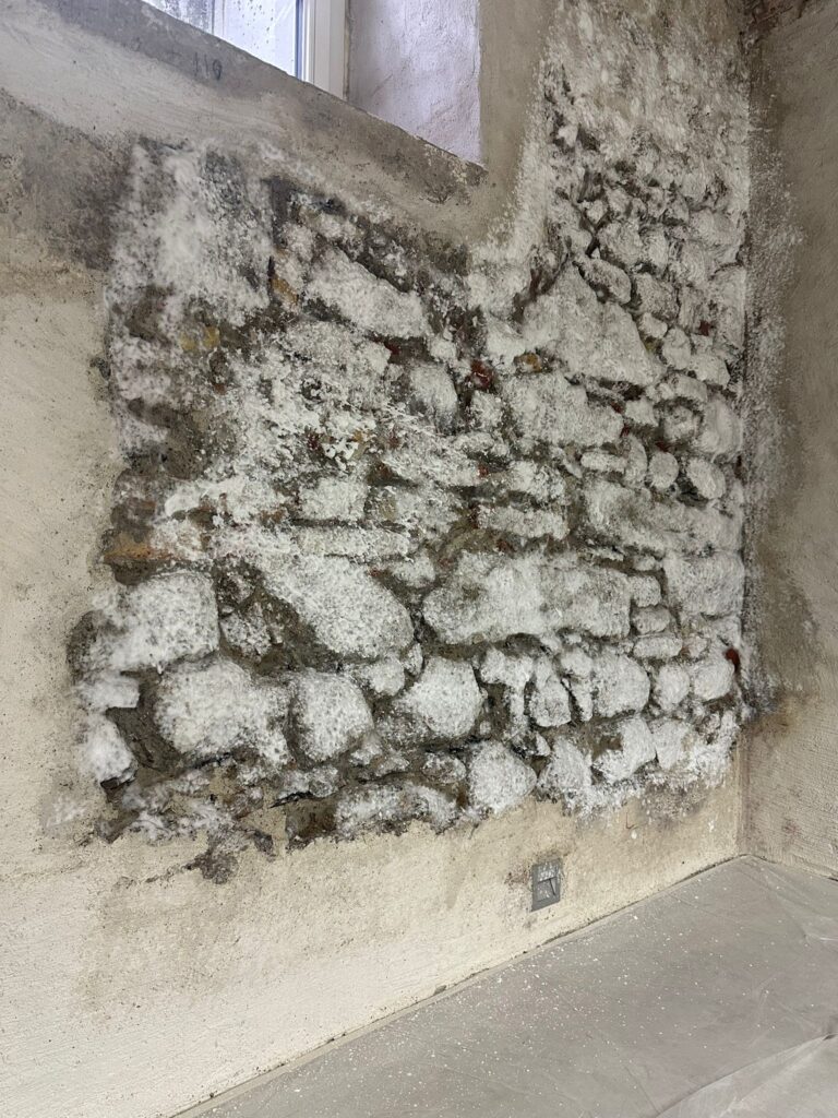 Schimmelreset, Vernebelung und oder Aufschäumung