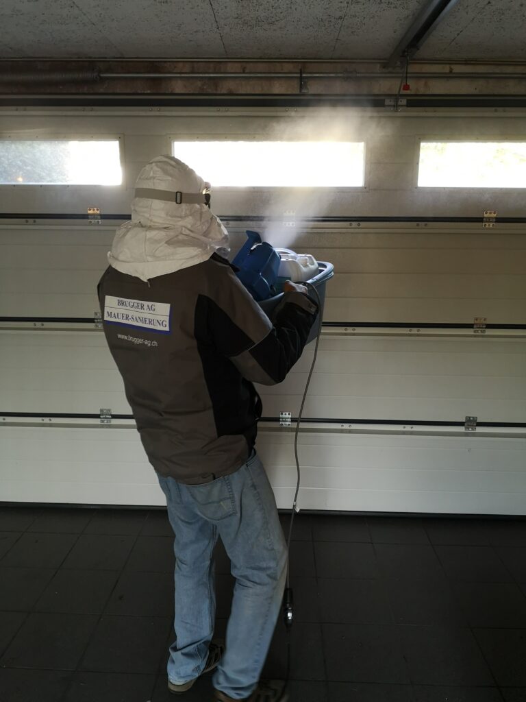 Schimmelreset, warum herkömmliche Schimmelentfernung oft nicht ausreicht