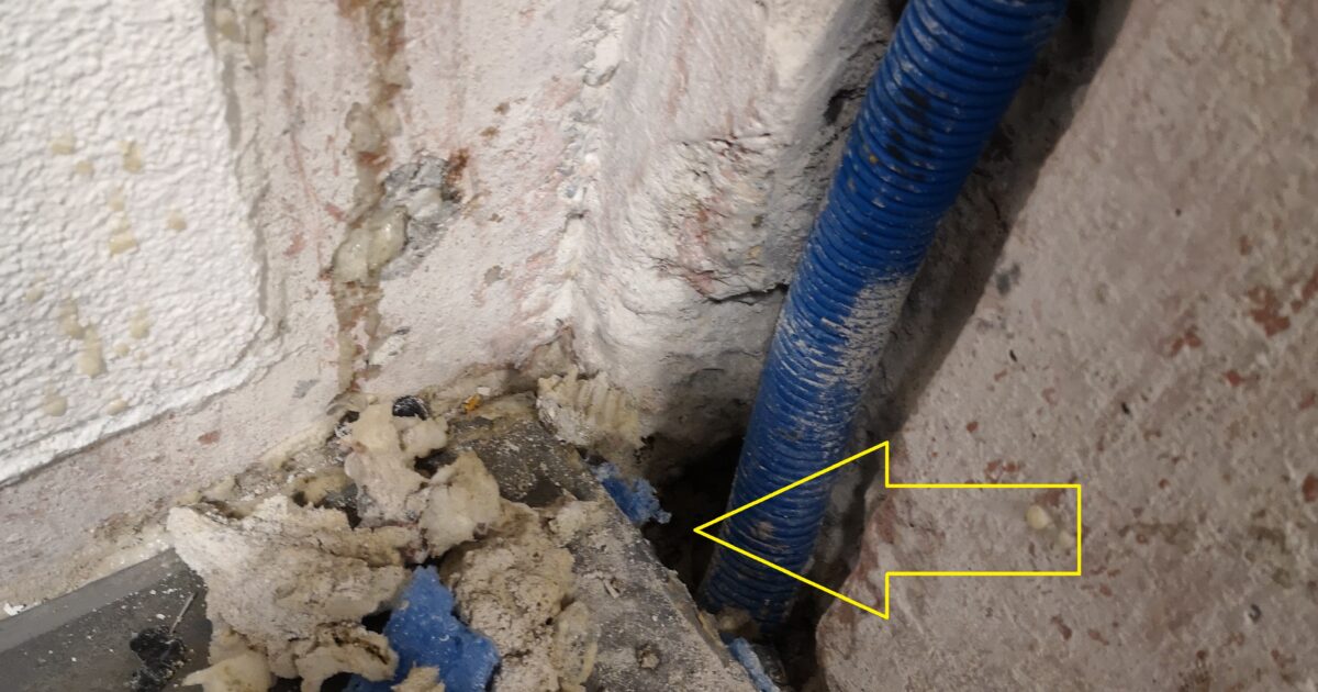 Feuchtegutachten Altbau – Warum es vor jeder Sanierung unverzichtbar ist