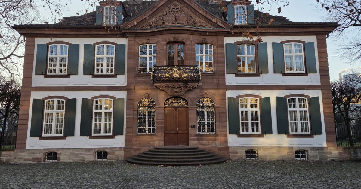 Ferndiagnose Feuchtigkeit im Haus – nachhaltige Lösungen für Hauseigentümer im Ausland