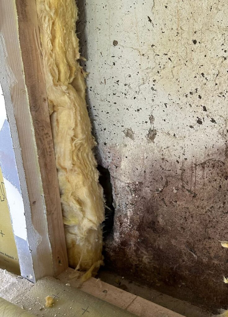 Versteckte Schimmel sind Defekte, die beim Abschluss des Hauskauf nicht erkennbar waren