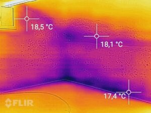 Schimmelgutachten und Thermografie: Versteckte Schäden aufdecken