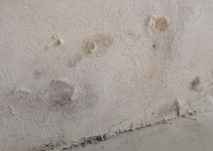 Ausblühungen auf dem Mauerwerk Hygroskopische Salze wie Chloride, Sulfate und Nitrate binden sich durch Verdunstung von Feuchtigkeit