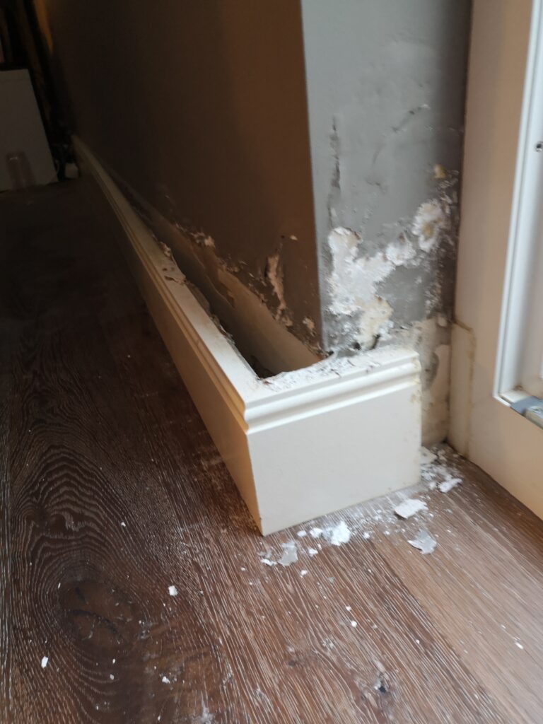 Feuchtigkeit im Haus – ein grenzüberschreitendes Problem