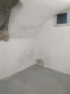 Schwarzschimmel Gesundheitsrisiko – Schimmelbefall in einer Schweizer Wohnung erfordert professionelle Diagnose