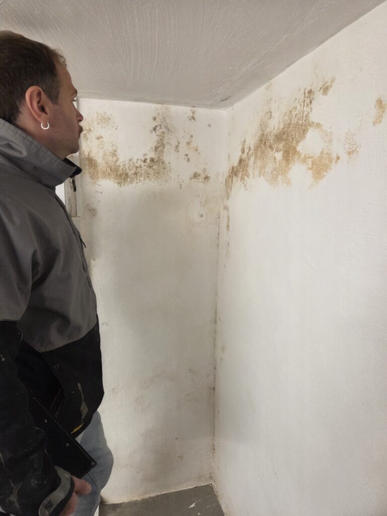 Schimmel ist ein Oberflächenproblem, häufig verursacht durch Kondensat 