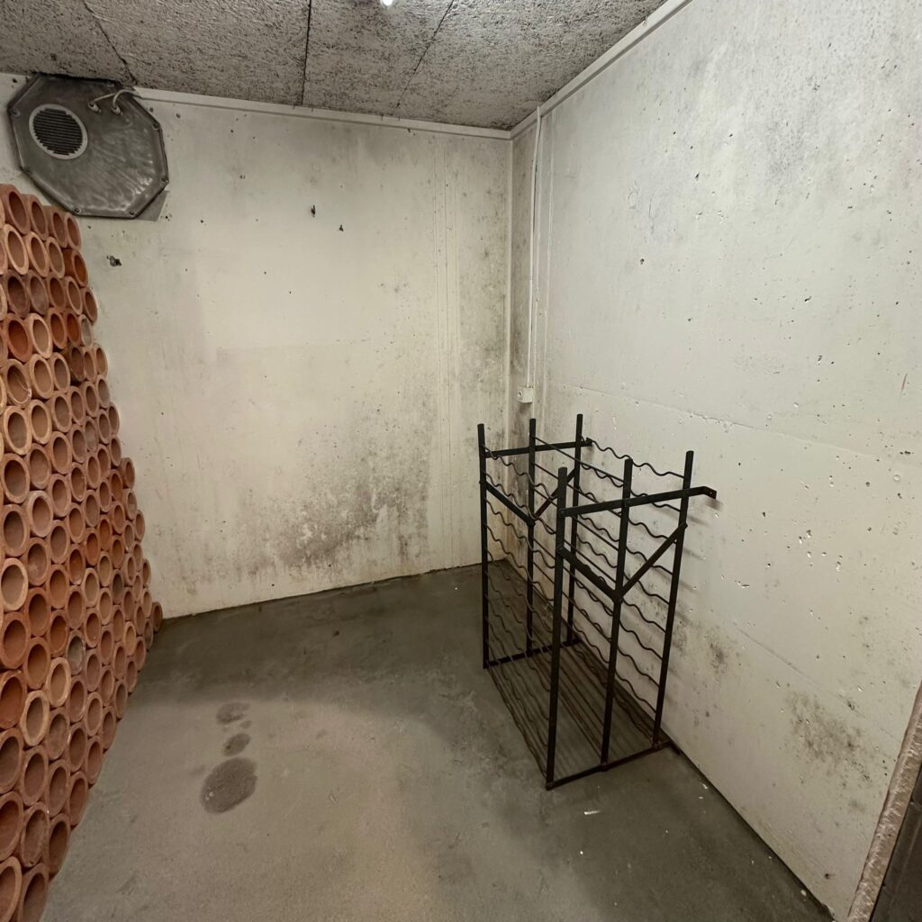 Eine erfolgreiche Schimmelsanierung beginnt immer mit der Ursachenanalyse