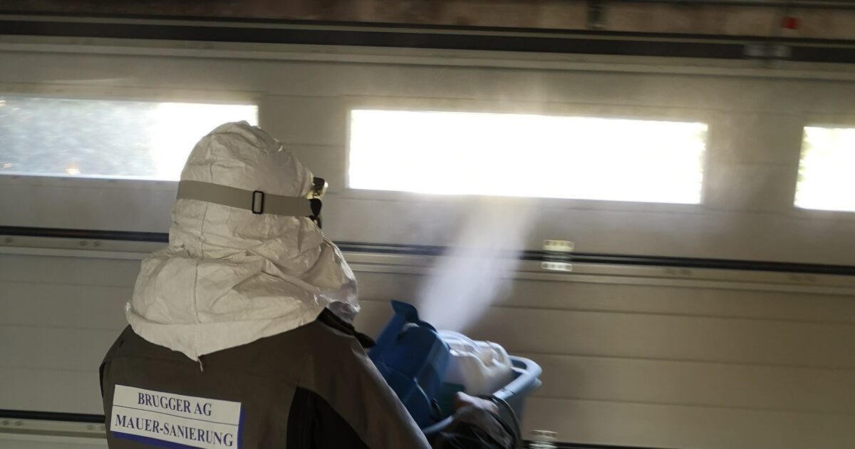 Spray gegen Schimmel – Schimmelreset: Die ganzheitliche Methode