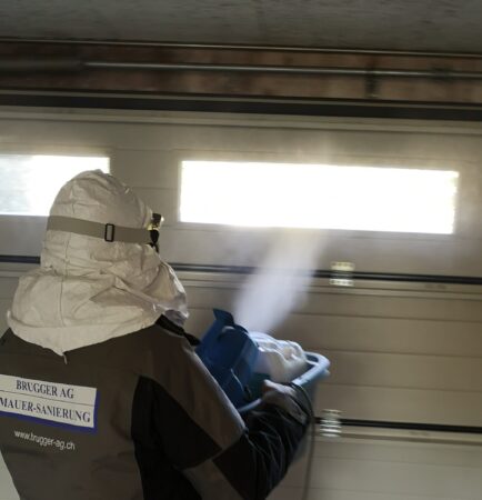 Spray gegen Schimmel – Schimmelreset: Die ganzheitliche Methode