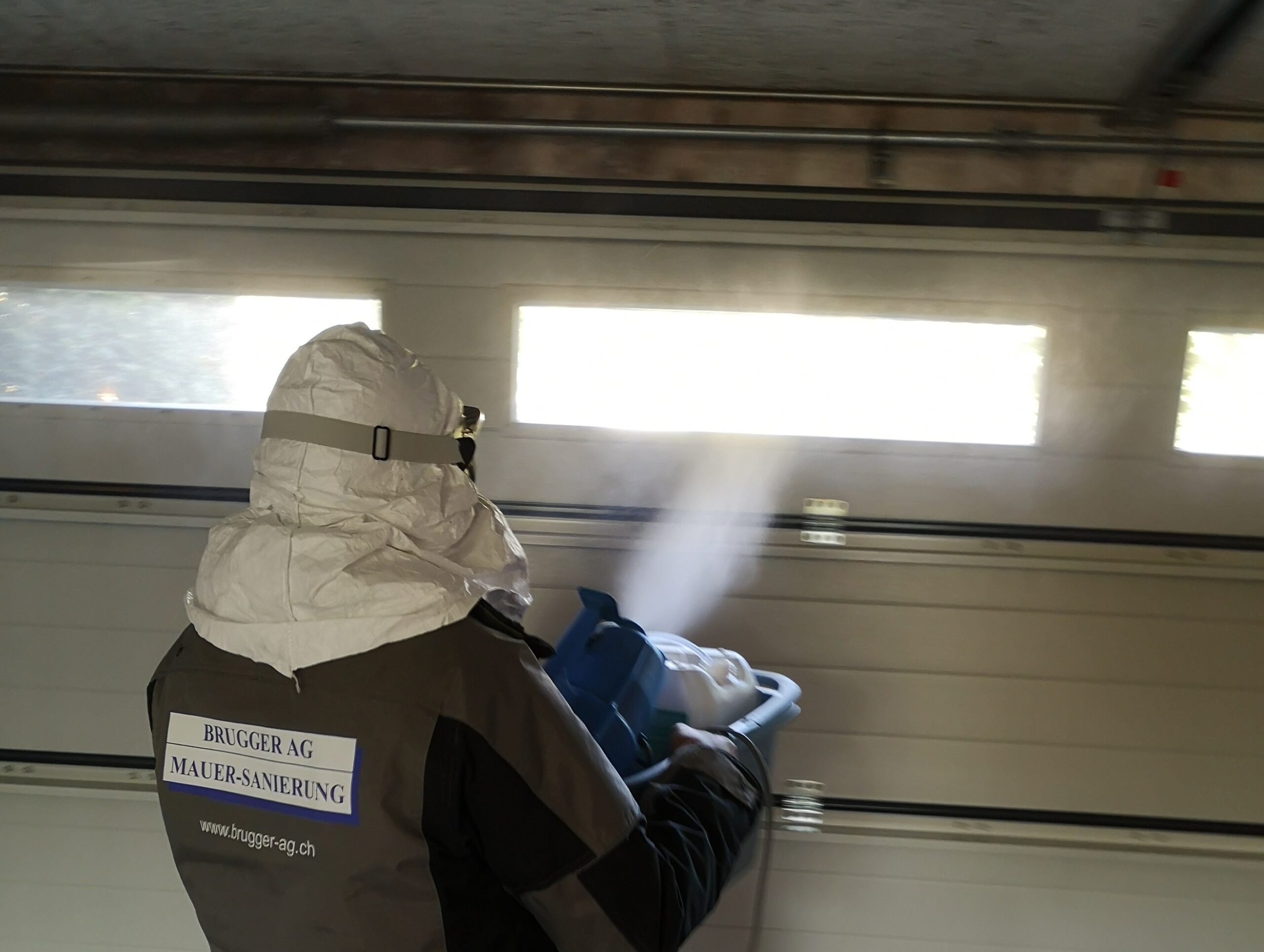 Spray gegen Schimmel – Schimmelreset: Die ganzheitliche Methode