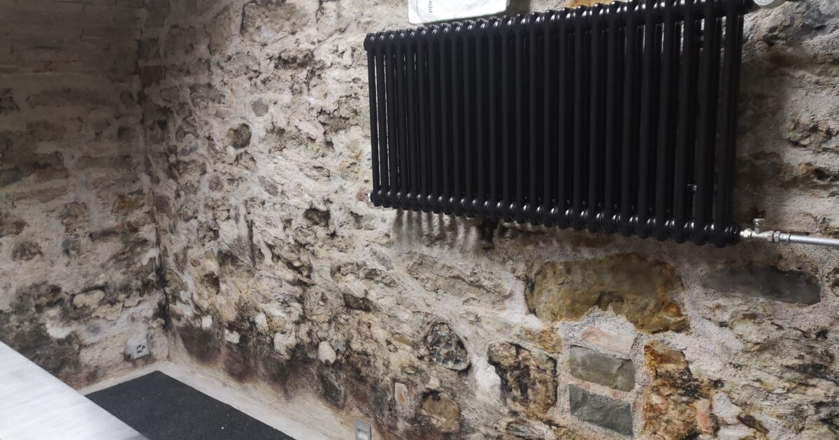 Schimmelsanierung Fachbetrieb – nachhaltige Lösungen gegen Schimmel in Wohn- und Gewerbeimmobilien