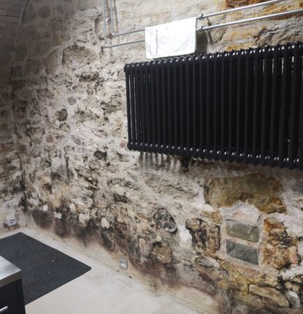 Schimmelsanierung Fachbetrieb – nachhaltige Lösungen gegen Schimmel in Wohn- und Gewerbeimmobilien