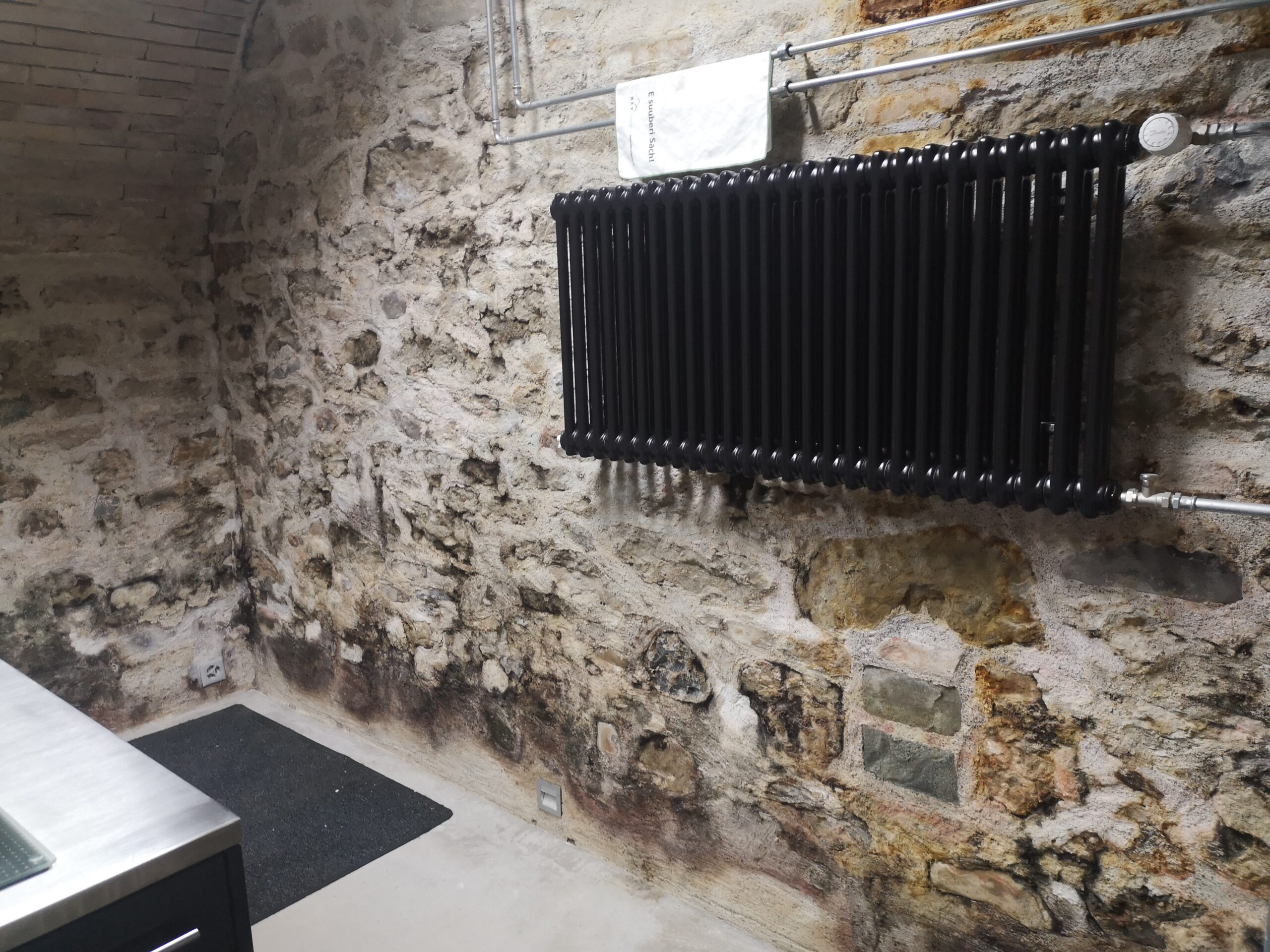 Schimmelsanierung Fachbetrieb – nachhaltige Lösungen gegen Schimmel in Wohn- und Gewerbeimmobilien