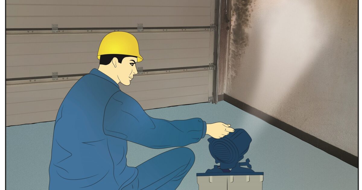 Ohne Schimmeltest Schimmelreset ist Schimmelabtötung und Schimmelsporen Eliminierung über die Raumluft