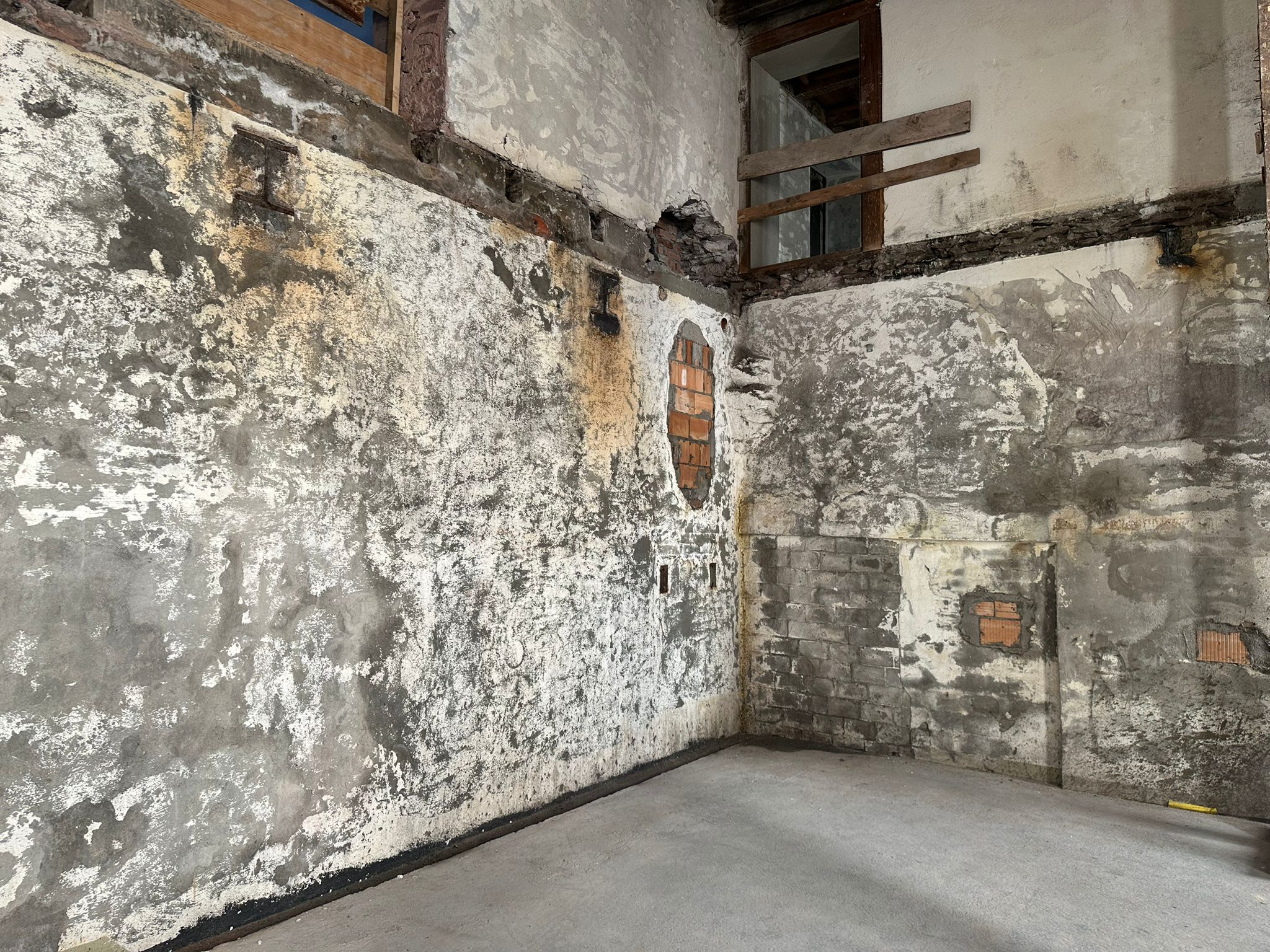 Schimmelsanierung besser nach Schimmelreset